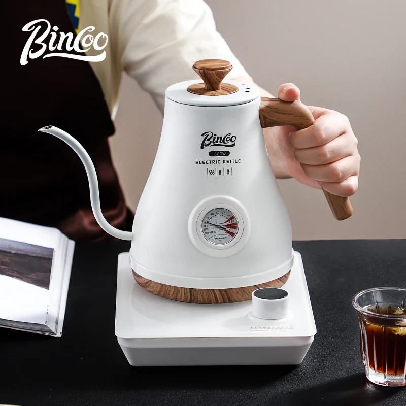 Bouilloire Électrique Bincoo p - Electric Kettle Temperature Control avis et prix