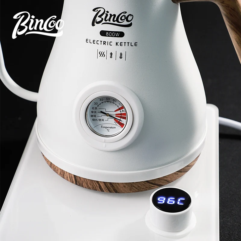 Bouilloire Électrique Bincoo p - Electric Kettle Temperature Control avis et prix