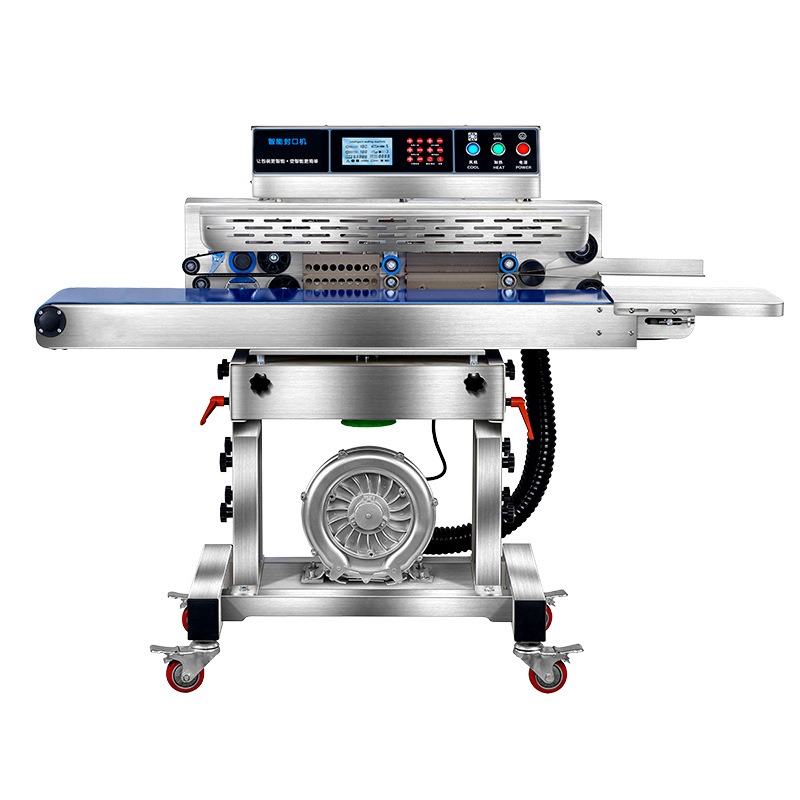 Machine de mise sous vide alim - Food Vacuum Sealer Machine avis et prix